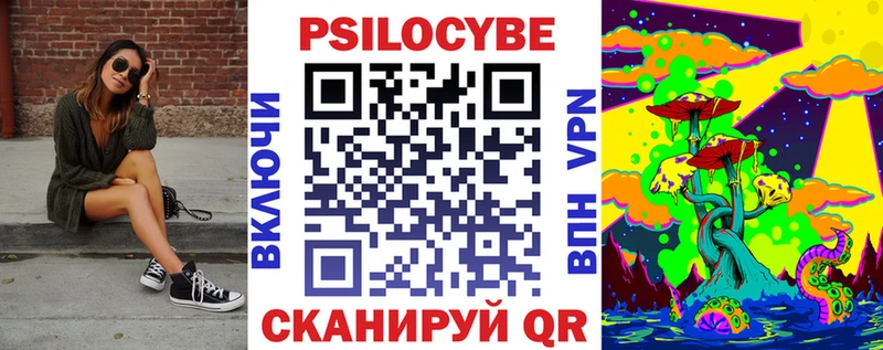маркетплейс телеграм  Славгород  Псилоцибиновые грибы Psilocybine cubensis 